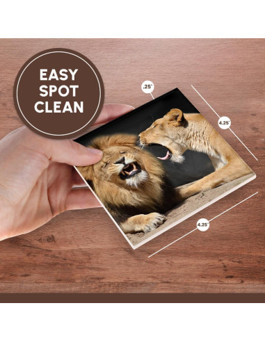 Juego de 8 Posavasos de Cerámica 3dRose Leones Divertidos