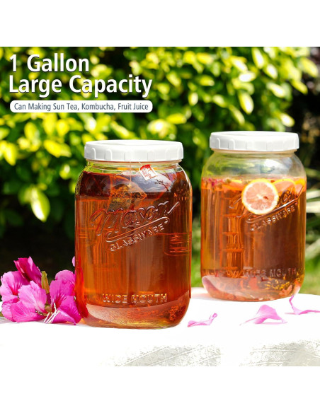 Tarro de Vidrio de 3.785 L con Tapa Hermética Folinstall