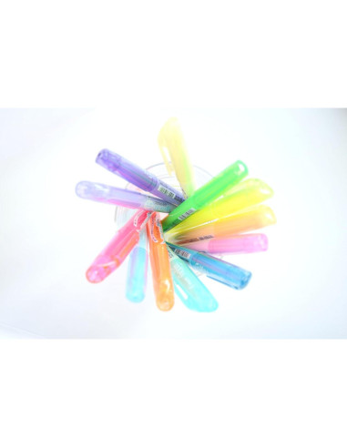 Set de 14 Bolígrafos Resaltadores Borrables Pilot Frixion
