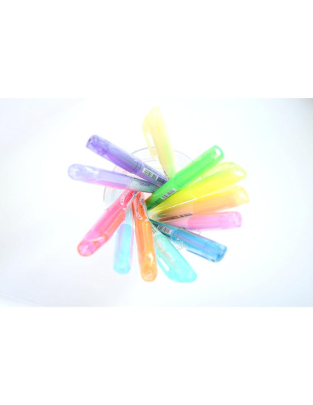 Set de 14 Bolígrafos Resaltadores Borrables Pilot Frixion