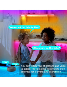 Luces LED Inteligentes dalattin 15m WiFi RGB Control Remoto 2