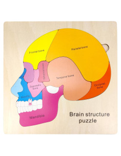 Rompecabezas de Anatomía del Cerebro de Madera JugueteLand 16 Piezas