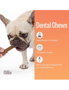 Ollie Dental Chews para Perros Extra Pequeños 340 g - Aliento Fresco 2