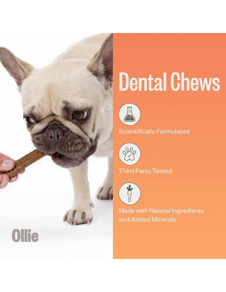 Ollie Dental Chews para Perros Extra Pequeños 340 g - Aliento Fresco