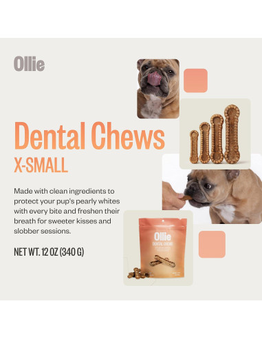 Ollie Dental Chews para Perros Extra Pequeños 340 g - Aliento Fresco