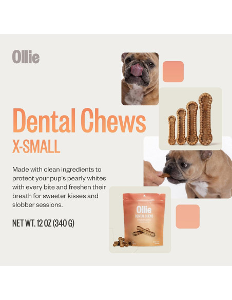 Ollie Dental Chews para Perros Extra Pequeños 340 g - Aliento Fresco