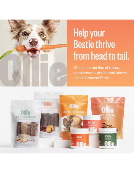 Ollie Dental Chews para Perros Extra Pequeños 340 g - Aliento Fresco