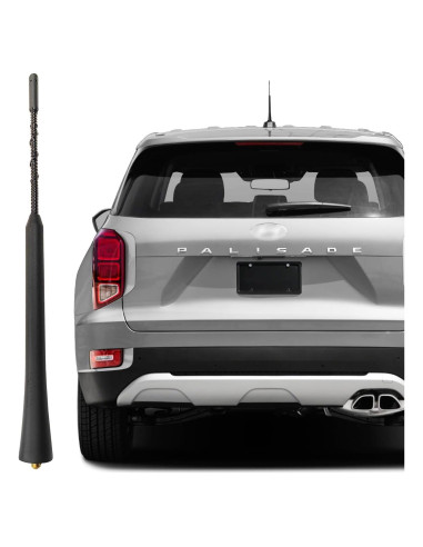 Antena de Radio Negra RooFox para Hyundai Palisade 2020-2024