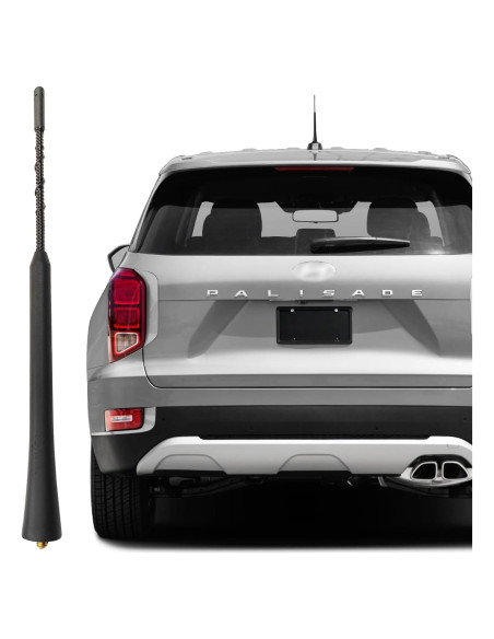 Antena de Radio Negra RooFox para Hyundai Palisade 2020-2024