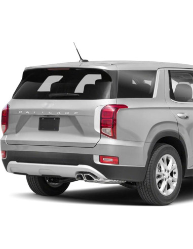 Antena de Radio Negra RooFox para Hyundai Palisade 2020-2024