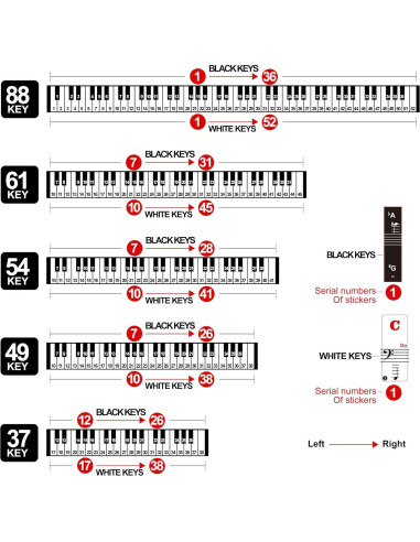 Etiquetas de Teclado de Piano COYAHO para 88/61/54/49/37 Teclas
