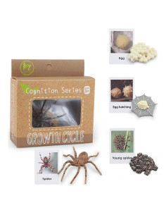 Figuras de Ciclo de Vida de Animales MIKNEKE - Araña y Tarjetas