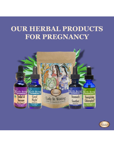 Té de Embarazo Lady in Waiting Birth Song Botanicals 40 Porciones