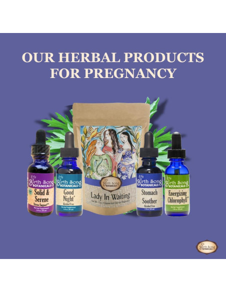 Té de Embarazo Lady in Waiting Birth Song Botanicals 40 Porciones