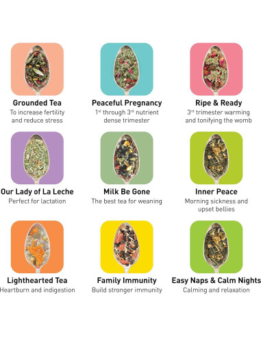 Set de Té de Embarazo Birds & Bees - 9 Tés Orgánicos