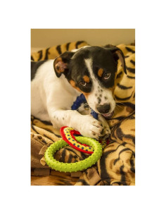 Impresión de Arte Fine Posterazzi Cachorro Fox Terrier 45x61cm