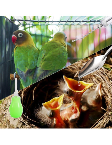 Kit de Jeringa para Alimentar Aves 50ML FULAIERGD con Tubos