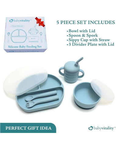 Juego de Alimentación de Silicona BabyVitality 5 Piezas Rosa