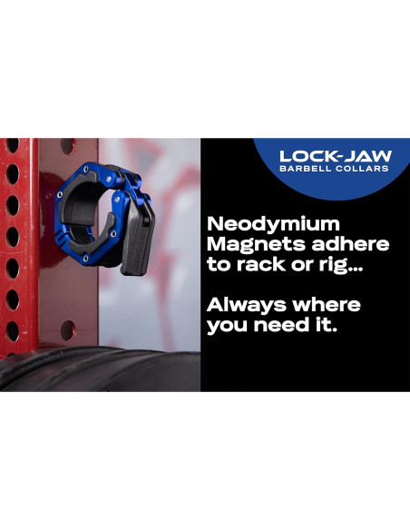 Collar de Barbell Lock-Jaw Flex Gris - Aluminio Aeronáutico Collar de Barbell Lock-Jaw Flex Gris - Aluminio Aeronáutico