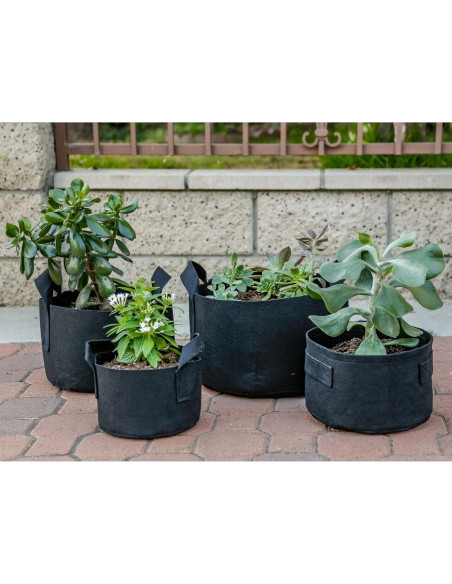 Paquete de 5 macetas de tela 247Garden 7 galones negro