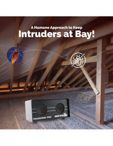 Ahuyentador de Critters Bird-X Transonic PRO, 325 m