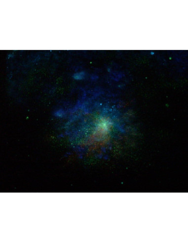 Pintura Acrílica ProFX Naranja Luminoso 2 Onzas Brilla en la Oscuridad