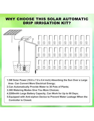 Sistema de Riego por Goteo Solar 5W Lewisia con Temporizador