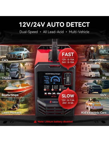 Cargador de Batería Automático Andeman 12V/24V 15A con Modo Invierno