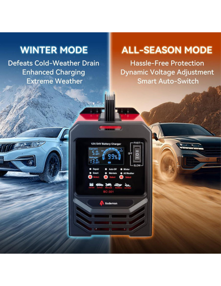 Cargador de Batería Automático Andeman 12V/24V 15A con Modo Invierno