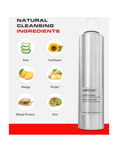 Champú Seco Voluminizador Arrojo 249g - Sin Sulfatos y Parabenos