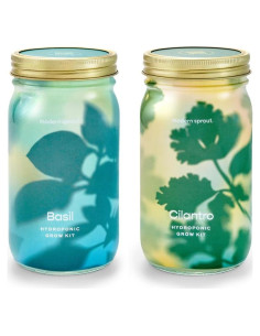 Kit de Cultivo Hidropónico Modern Sprout - Tarro Jardín Albahaca y Cilantro