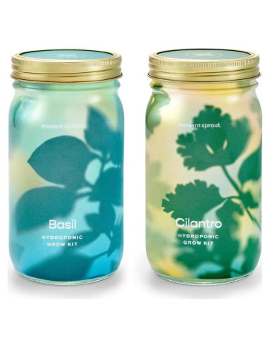 Kit de Cultivo Hidropónico Modern Sprout - Tarro Jardín Albahaca y Cilantro