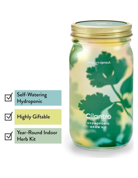 Kit de Cultivo Hidropónico Modern Sprout - Tarro Jardín Albahaca y Cilantro