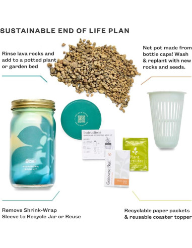 Kit de Cultivo Hidropónico Modern Sprout - Tarro Jardín Albahaca y Cilantro