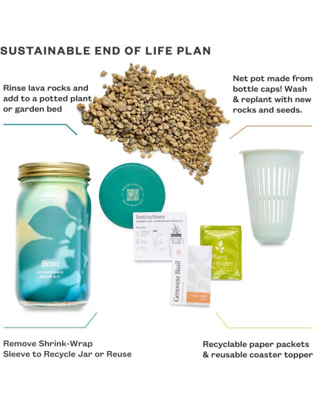 Kit de Cultivo Hidropónico Modern Sprout - Tarro Jardín Albahaca y Cilantro