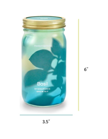 Kit de Cultivo Hidropónico Modern Sprout - Tarro Jardín Albahaca y Cilantro