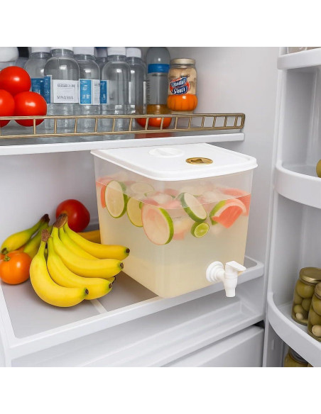 Dispensador de Bebidas Sivlnian 7.57L con Grifo y Filtro