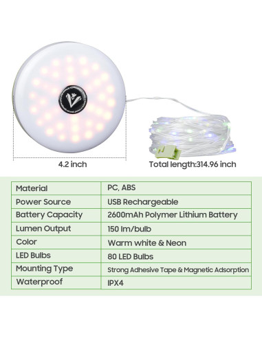 Luz de Techo Universal 10L0L para Carro de Golf con LED Neón 10M