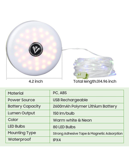 Luz de Techo Universal 10L0L para Carro de Golf con LED Neón 10M