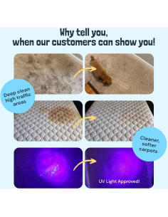 Limpiador de Alfombras Sunny & Honey 0.95 L Aroma Verano 2