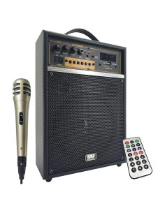 Amplificador PA Portátil EMB 300W con Bluetooth y Micrófono