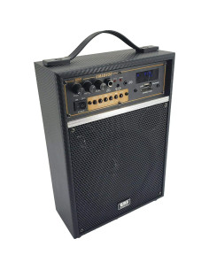 Amplificador PA Portátil EMB 300W con Bluetooth y Micrófono 2