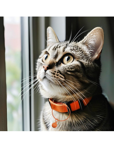 Anillos de Llave de Alambre de Acero GREDAK 36 Piezas 15.24 cm