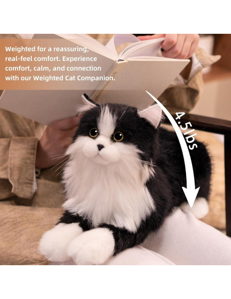 Gato de Peluche con Peso Chongker Negro 1.5KG Realista Gato de Peluche con Peso Chongker Negro 1.5KG Realista