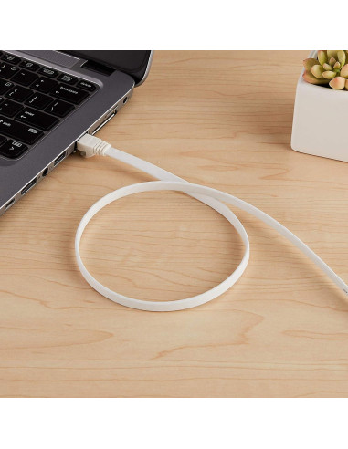 Cable Ethernet RJ45 Cat 7 Amazon Basics 9.14m Blanco con Clavos