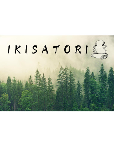 Rodillo Facial y Guasha Jade Verde Ikisatori - Cuidado Piel