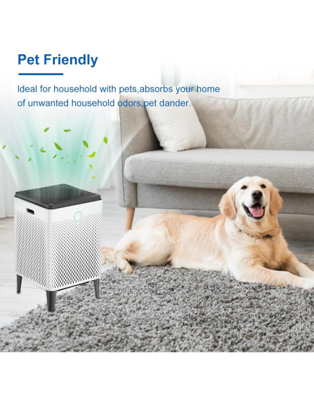 Juego de 4 Filtros de Reemplazo Coway 400/400S - Alta Eficiencia Juego de 4 Filtros de Reemplazo Coway 400/400S - Alta Eficiencia