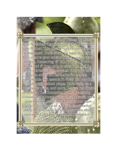 Casco de Gladiador Adulto Nicky Bigs Novelties Dorado 2