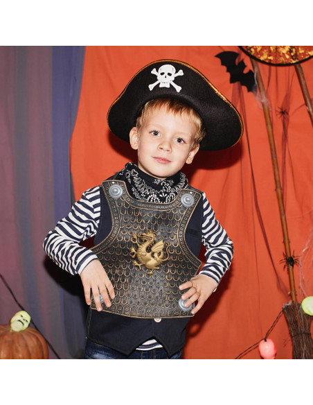 TOYANDONA Juguete Escudo Medieval para Niños 37.5x32cm 2pcs