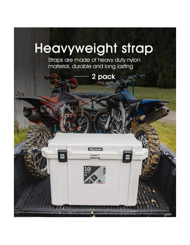 Kit de Sujeción para Enfriadores ALIENSX TD841 - 2 Correas Nylon